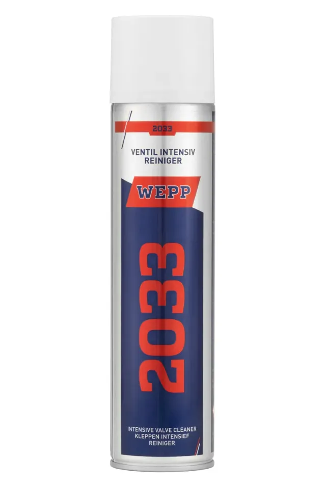 WEPP 2033 Pulitore Intensivo Valvole Aspirazione