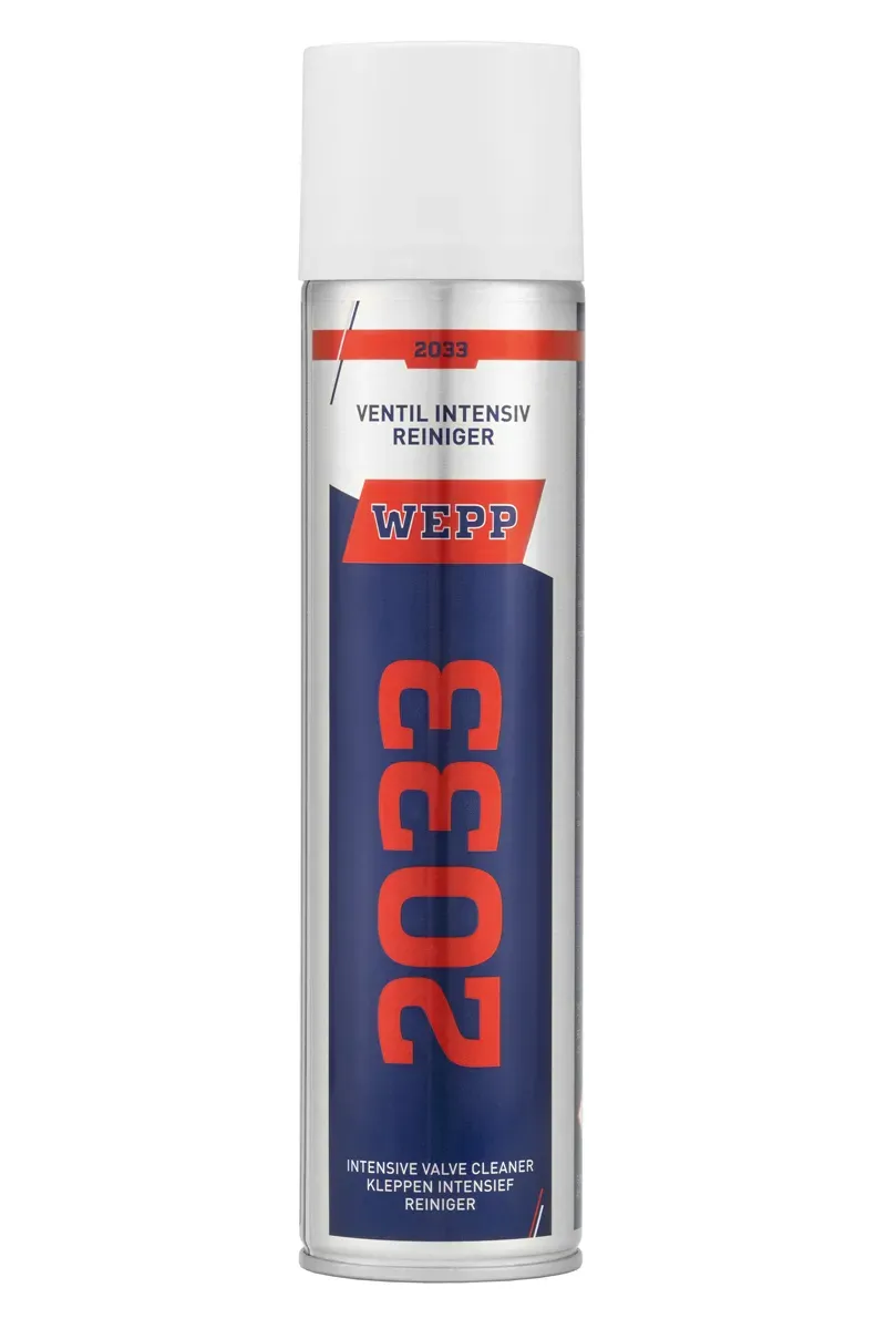 WEPP 2033 Pulitore Intensivo Valvole Aspirazione