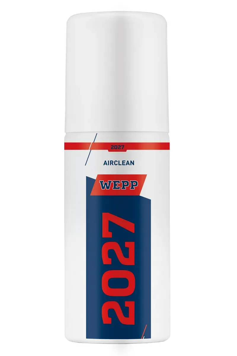 WEPP 2027 Detergente per Condotti Aria e Alloggiamento Filtro