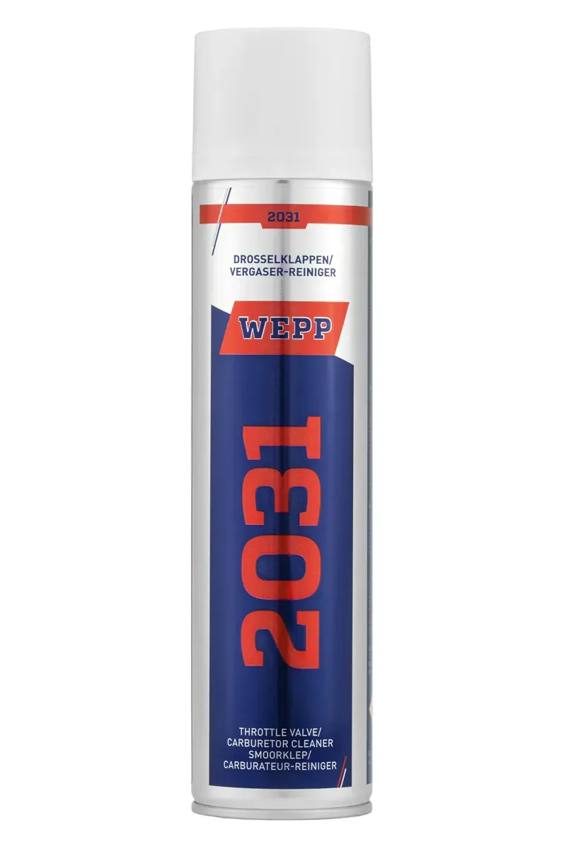 WEPP 2031 pulitore carburatore corpi farfallati rapido