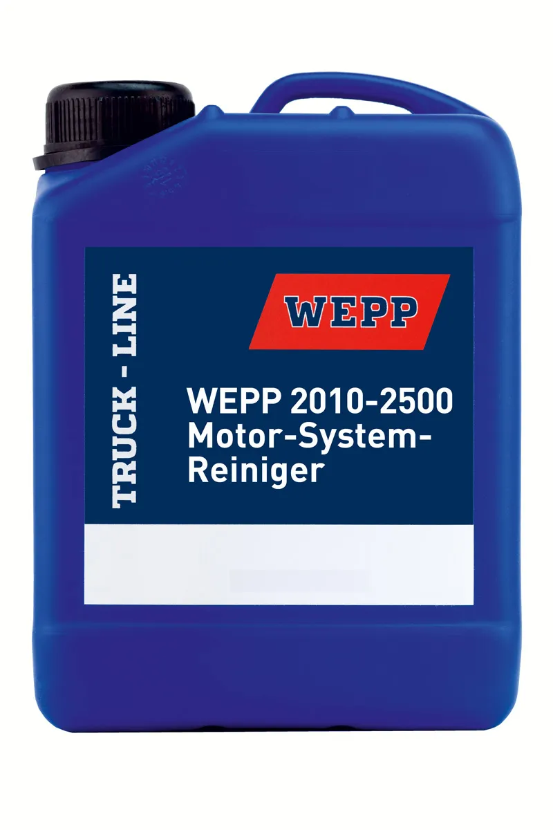 WEPP Pulitore Interno Motore Flush Pre Cambio Olio